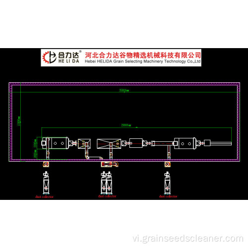 Ngô làm bằng lúa mì Ngà hạt hướng dương làm sạch đường